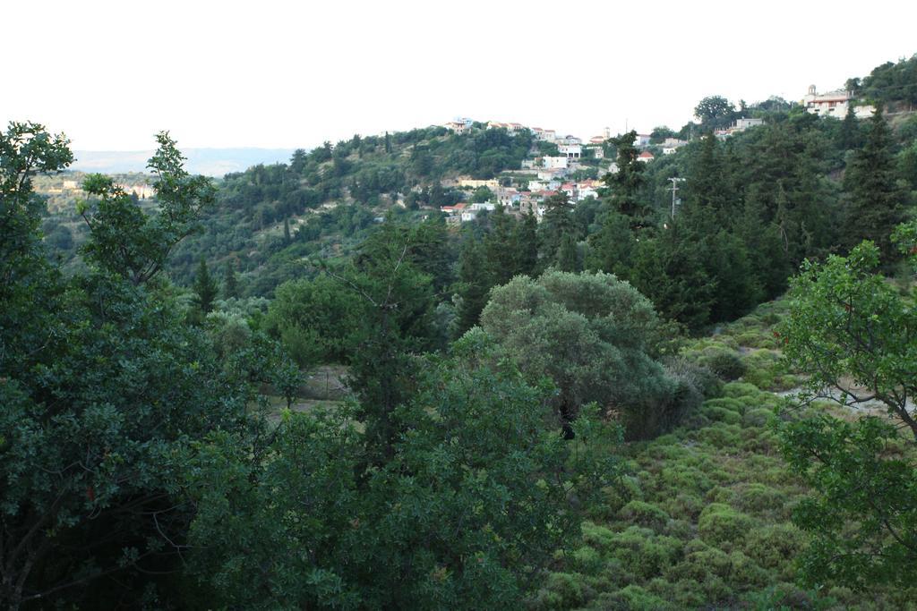 Villa Athina Aryiroúpolis Cameră foto