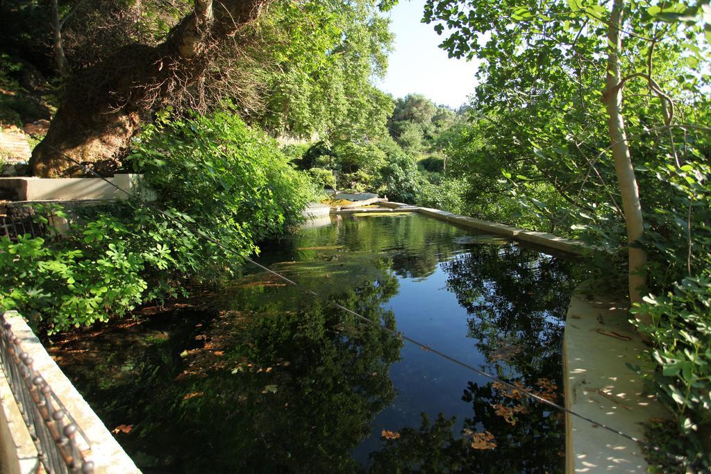 Villa Athina Aryiroúpolis Cameră foto